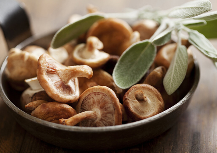 IQF shiitake sienten käsittelytekniikka